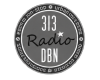 logo 313 dbn radio